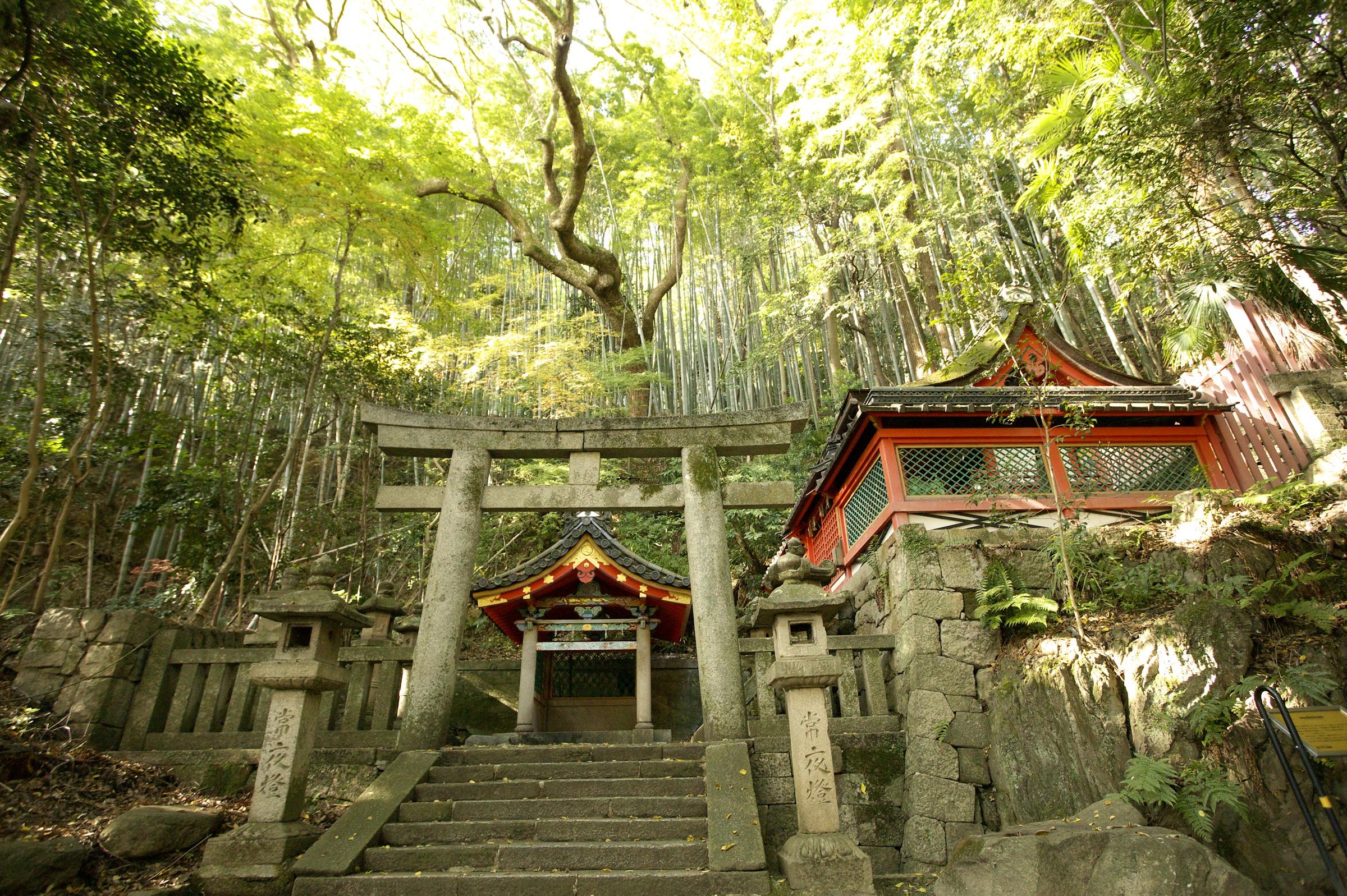 ⛩️ 石清尾八幡神社 이미지 5